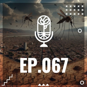 S3 Ep67: EL CLIMA DEL FUTURO
