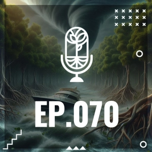 S3 Ep70: MANGLARES COSTEROS
