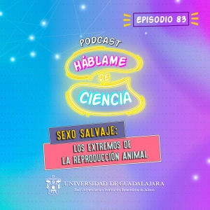 S4 Ep83: Sexo salvaje: los extremos de la reproducción animal