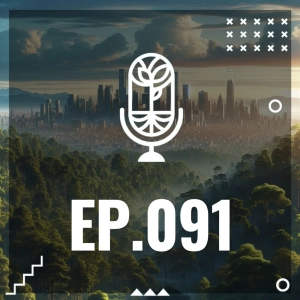 S3 Ep91: EL BOSQUE Y LA CIUDAD
