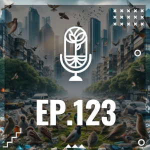 S3 Ep123: LAS AVES Y LA CIUDAD