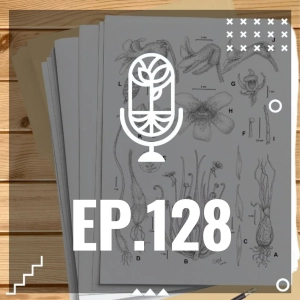 S3 Ep128: NUEVAS ESPECIES