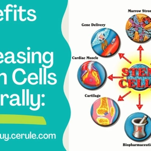 325: What are Stem Cells and inceasing them naturally!  madonnaguy.cerule.com   Amazingly regenerative!