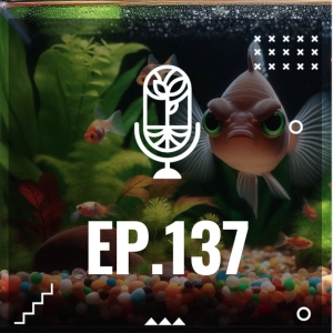 S3 Ep137: LOS INVASIÓN DE LOS GUPPYS