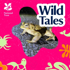 Toad Patrol | The Perilous Path