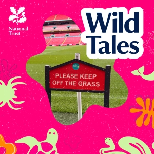 Wembley Stadium | Football's Perfect Pitch