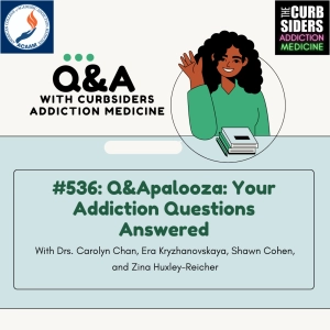 #536 Q&Apalooza: Your Addiction Questions Answered!
