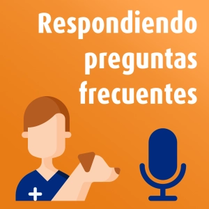 8. Preguntas frecuentes sobre mascotas
