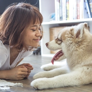12. Periodo de socialización del cachorro