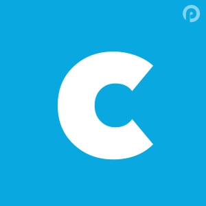 Coming of Age: An introduction to the new worldwide web