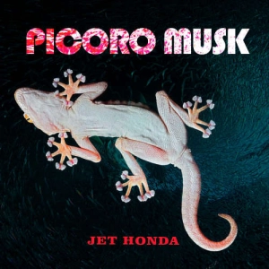 JET HONDA PICORO MUSK