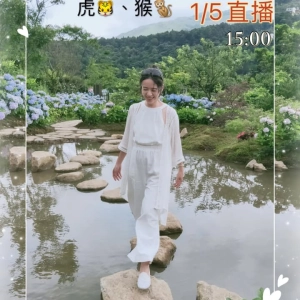 辛丑年12生肖流年脈輪能量4<虎+猴>