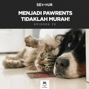 Episode 72: Menjadi Pawrents Tidaklah Murah!