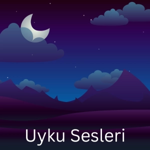 Uyku Sesleri (Sleep Sounds)