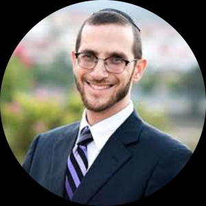 Nazir 8Aa: R' Shalom Rosner