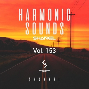 DJ.ru Микс: Shankel — Harmonic Sounds. Vol.153