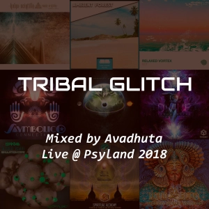 Tribal Glitch @ Psyland 2018