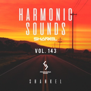 DJ.ru Микс: Shankel — Harmonic Sounds. Vol.143
