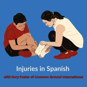 Bruises, Cuts, Ruptures, Breaks, Tears, and Sprains