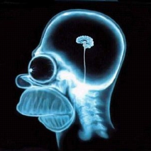 Enteratec 182: Ya está el listo que todo lo sabe, los distintos usos que le podemos dar a los sistemas de inteligencia artificial.