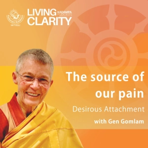 The source of our pain - Desirous Attachment