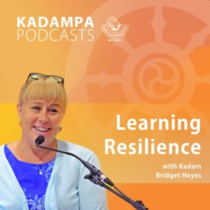Learning Resilience