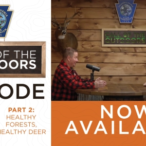 Episode 36 Part 2: Healthy Forests, Healthy Deer