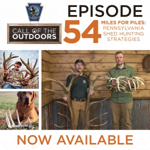 Call of the Outdoors Episode 54: Miles for Piles-Pennsylvania Shed Hunting Strategies
