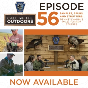 Call of the Outdoors Episode 56: Samples, Spurs, and Strutters: Pennsylvania’s Wild Turkey Studies