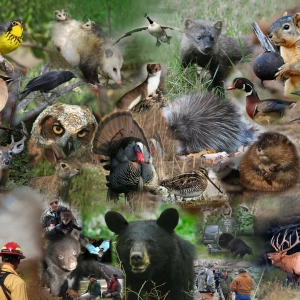 Episode 20: Managing Wildlife for a Brighter Future