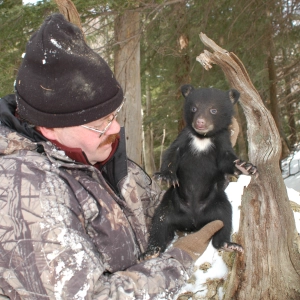 Episode 12: Bear Conservation in the Keystone State
