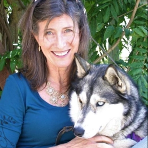 The Return of Wolves to California with Amaroq Weiss, Center for Biological Diversity