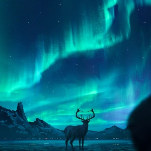 [News] City Lights Meet Northern Lights: A New York Spectacle