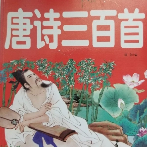 将进酒(双人演播/不一样的将进酒)
