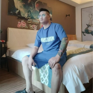 鸿鹄之志