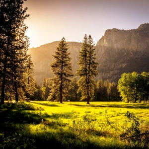 Ambient 003