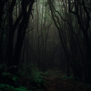 Ambient 004