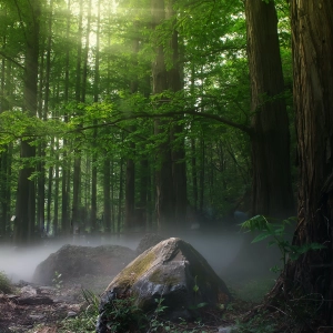 Ambient 008