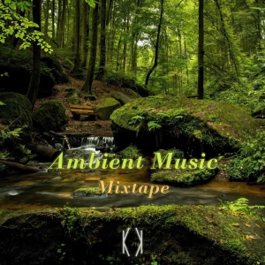 憩泊声景：冥想与专注 | 享受一小时的静谧安然