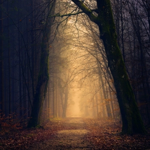 Ambient 005