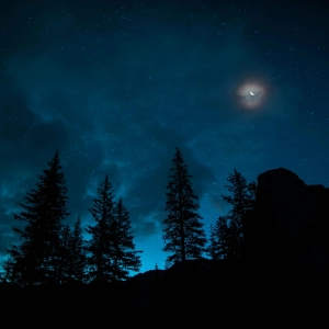 Ambient 011