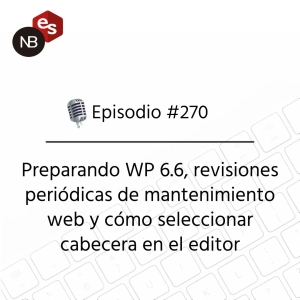 #270 – Preparando WP 6.6, revisiones periódicas de mantenimiento web y cómo seleccionar cabecera en el editor