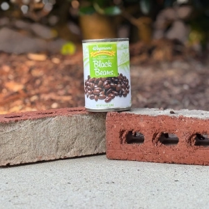e526 — Beans and Bricks