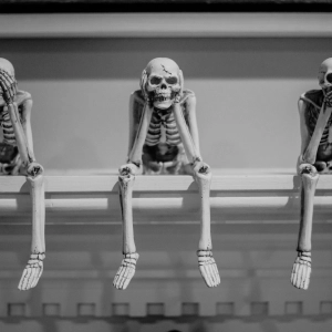 e532 — Spooky Scary Tech Skeletons