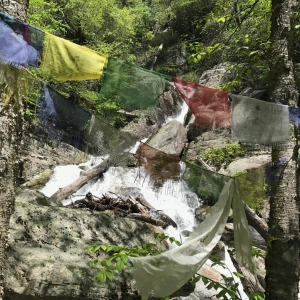 e553 — Monks, Bots & Ghosts