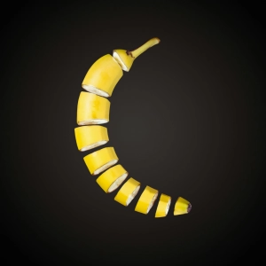 e558— Exploding Bananas