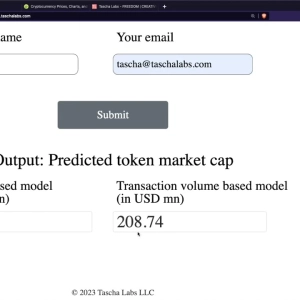 How to know what a blockchain platform is worth quickly