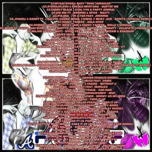 DJ RAFLOW—>Reggae Hip-Hop Electro Party