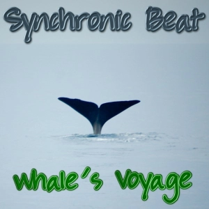 Whale's Voyage