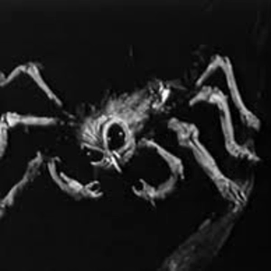 Horrors (To be re-released with vox by the Brother Mox and 'Crocket' Carmen - Still Thinking)